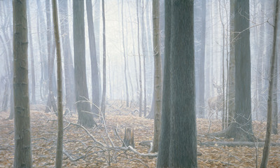 Hardwood Forest – Whitetail Deer- Signed By The Artist								 – Canvas Giclee
								 – Limited Edition
								 – 180 S/N
								 – 
								24 x 40