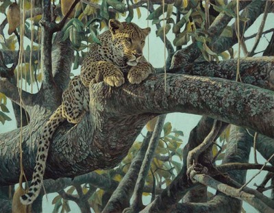 Leopard In A Sausage Tree- Signed By The Artist								 – Paper Lithograph
								 – Limited Edition
								 – 20 P/P
								 – 
								20 1/4 x 25 3/4