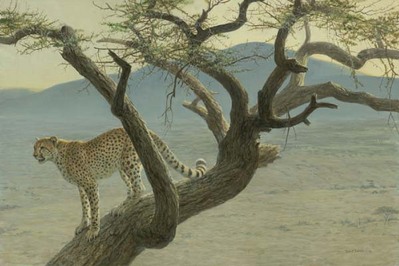 Lewa Cheetah- Signed By The Artist								 – Canvas Giclee
								 – Limited Edition
								 – 180 S/N
								 – 
								24 x 36