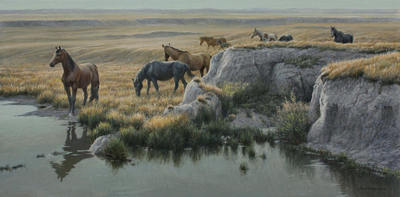 Mustang Country- Signed By The Artist								 – Canvas Giclee
								 – Limited Edition
								 – 40 A/P
								 – 
								20 x 40