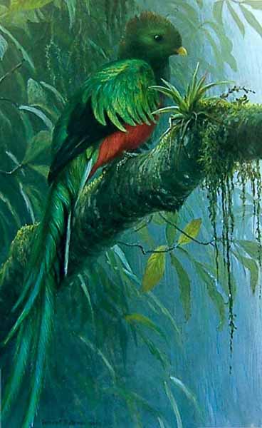 Quetzal- Signed By The Artist								 – Paper Lithograph
								 – Limited Edition
								 – 40 A/P
								 – 
								22 x 15 5/8