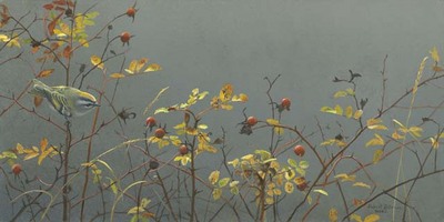 Rose Hip And Kinglet- Signed By The Artist								 – Canvas Giclee
								 – Limited Edition
								 – 180 S/N
								 – 
								10 x 20