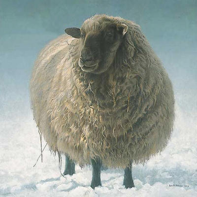 Salt Spring Sheep- Signed By The Artist								 – Paper Lithograph
								 – Limited Edition
								 – 1250 S/N
								 – 
								21 3/4 x 21 5/8