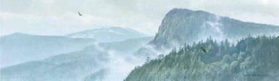 Thinking Like A Mountain- Signed By The Artist								 – Canvas Giclee
								 – Limited Edition
								 – 40 A/P
								 – 
								9 x 30								
								 –