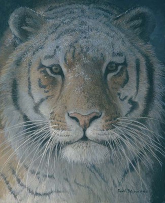 Tiger At Dusk- Signed By The Artist								 – ClasArt Giclee
								 – Limited Edition
								 – 225 S/N
								 – 
								15 x 12