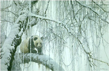 Winter Filigree – Giant Panda- Signed By The Artist								 – Paper Lithograph
								 – Limited Edition
								 – 9600 S/N
								 – 
								20 1/2 x 30 3/4