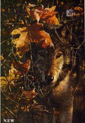 Autumn Eyes- Signed By The Artist								 – Paper Lithograph
								 – Limited Edition
								 – 195 S/N
								 – 
								20 x 14