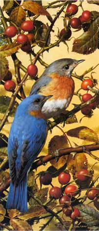 Bluebirds- Signed By The Artist								 – Paper Lithograph
								 – Limited Edition
								 – 950 S/N
								 – 
								12 1/2 x 5 1/2