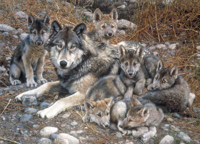 Den Mother – Wolf Family- Signed By The Artist								 – Canvas Giclee
								 – Limited Edition
								 – 40 A/P
								 – 
								26 x 36