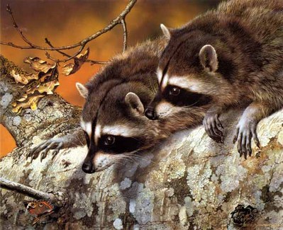 Double Trouble – Raccoons- Signed By The Artist								 – Paper Lithograph
								 – Limited Edition
								 – 950 S/N
								 – 
								15 x 18 3/8								
								 –