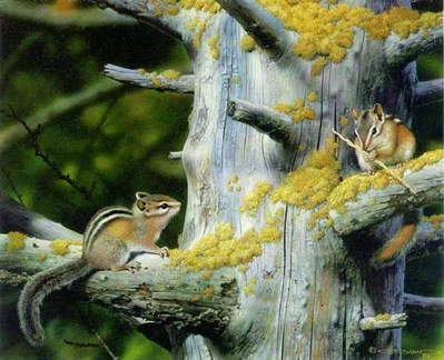 Playful Pair – Chipmunks- Signed By The Artist								 – Paper Lithograph
								 – Limited Edition
								 – 950 S/N
								 – 
								13 1/2 x 16 3/4