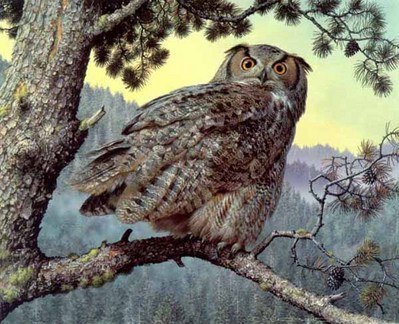 Silent Hunter – Great-Horned Owl- Signed By The Artist								 – Paper Lithograph
								 – Limited Edition
								 – 950 S/N
								 – 
								16 x 20