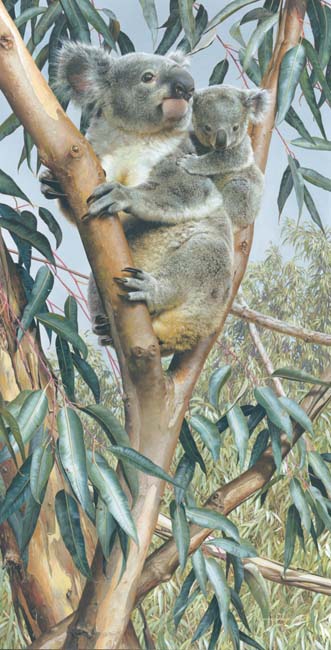 Up A Gum With Mum- Signed By The Artist								 – Canvas Giclee
								 – Limited Edition
								 – 18 A/P
								 – 
								38 x 20