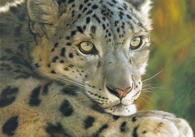 West Of The Moon – Snow Leopard- Signed By The Artist								 – Paper Lithograph
								 – Limited Edition
								 – 950 S/N
								 – 
								20 x 28 1/2