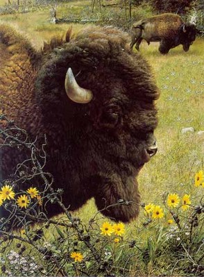 Witness Of A Past – Bison- Signed By The Artist								 – Paper Lithograph
								 – Limited Edition
								 – 950 S/N
								 – 
								19 x 14 1/4