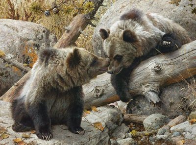 Alaska Chat- Signed By The Artist								 – Canvas Giclee
								 – Limited Edition
								 – 40 A/P
								 – 
								25 x 33