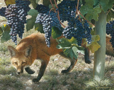 Between The Vines – Red Fox- Signed By The Artist								 – Canvas Giclee
								 – Limited Edition
								 – 40 A/P
								 – 
								27 x 34