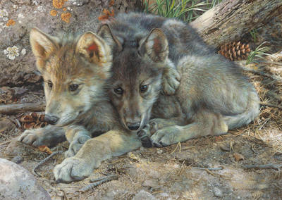 Brotherly Love – Wolf Pups- Signed By The Artist								 – Canvas Giclee
								 – Limited Edition
								 – 40 A/P
								 – 
								10 x 14