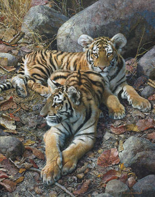 Endangered Ambassadors – Tiger Cubs- Signed By The Artist								 – Paper Lithograph
								 – Limited Edition
								 – 950 S/N
								 – 
								29 3/8 x 23