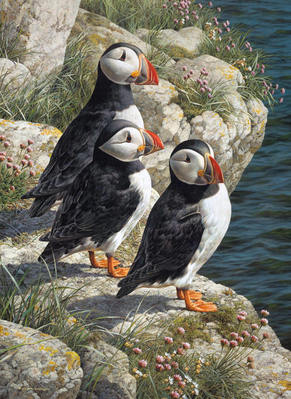 Fisherman’s Wharf – Puffins- Signed By The Artist								 – Paper Lithograph
								 – Limited Edition
								 – 650 S/N
								 – 
								22 x 16