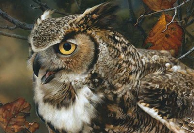 In Focus – Great Horned Owl- Signed By The Artist								 – Paper Lithograph
								 – Limited Edition
								 – 650 S/N
								 – 
								11 3/8 x 16 1/2