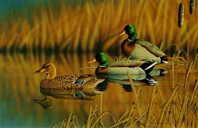 Afternoon Mallards- Signed By The Artist								 – Paper Lithograph
								 – Limited Edition
								 – 550 S/N
								 – 
								16 1/4 x 25 1/4