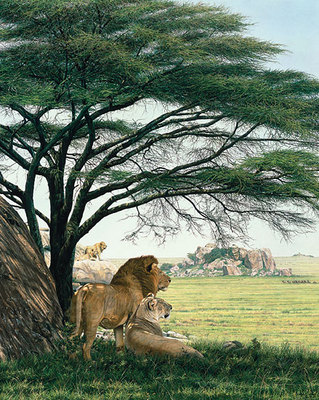 An African Experience- Canvas Giclee
								 – Limited Edition
								 – 100 Limited
								 – 
								40 x 32