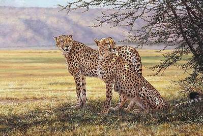 Imminent Pursuit- Signed By The Artist								 – Paper Lithograph
								 – Limited Edition
								 – 550 S/N
								 – 
								19 x 26