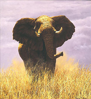 Tsavo Sentinel- Canvas Giclee
								 – Limited Edition
								 – 150 Limited
								 – 
								12 x 11