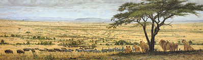 Wildebeest Migration- Signed By The Artist								 – Paper Lithograph
								 – Limited Edition
								 – 450 S/N
								 – 
								16 3/8 x 44