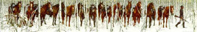 Two Indian Horses- Signed By The Artist								 – Paper Lithograph
								 – Limited Edition
								 – 12253 S/N
								 – 
								7 1/2 x 47