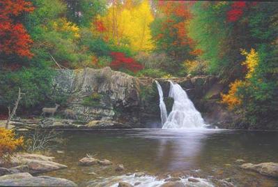 Autumn In The Smokies- Signed By The Artist								 – Paper Lithograph
								 – Limited Edition
								 – 350 S/N
								 – 
								20 x 30