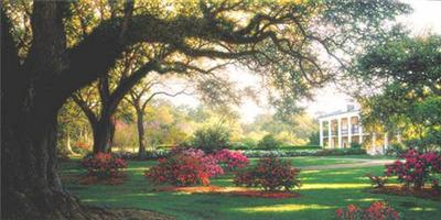 Southern Hospitality- Signed By The Artist								 – Canvas Giclee
								 – Limited Edition
								 – 95 S/N
								 – 
								20 x 40