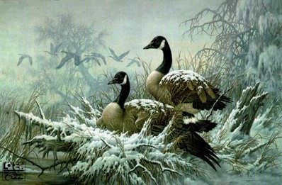 April Snow – Canada Geese- Signed By The Artist								 – Paper Lithograph
								 – Limited Edition
								 – 76 A/P
								 – 
								14 3/8 x 22