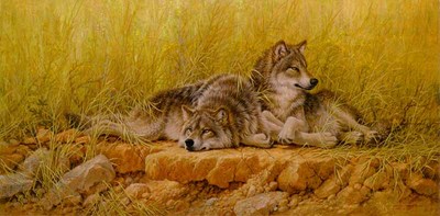 End Of Summer – Gray Wolves- Signed By The Artist								 – Canvas Giclee
								 – Limited Edition
								 – 180 S/N
								 – 
								20 x 40