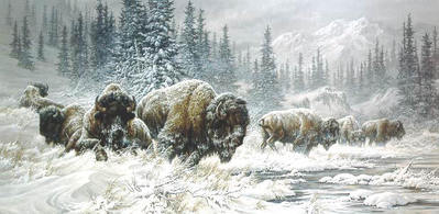 Front Range Storm – Colorado Buffalo- Signed By The Artist								 – Canvas Lithograph
								 – Limited Edition
								 – 300 S/N
								 – 
								16 x 32