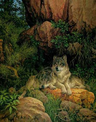 Soul Mates – Gray Wolves- Signed By The Artist								 – Canvas Lithograph
								 – Limited Edition
								 – 180 S/N
								 – 
								32 x 25