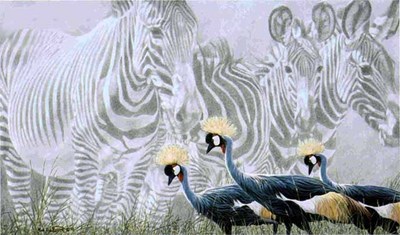 Zebra Mirage- Signed By The Artist								 – Paper Giclee
								 – Limited Edition
								 – 250 S/N
								 – 
								17 1/4 x 30