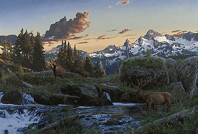 Evening Majesty- Signed By The Artist								 – Canvas Giclee
								 – Limited Edition
								 – 10 A/P
								 – 
								24 x 36