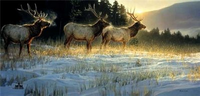 Elk Ridge- Signed By The Artist								 – Paper Lithograph
								 – Limited Edition
								 – 1200 S/N
								 – 
								17 x 34