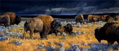 Restless- Signed By The Artist								 – Canvas Giclee
								 – Limited Edition
								 – 250 S/N
								 – 
								20 x 46