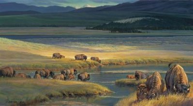 Buffalo Valley- Signed By The Artist								 – Canvas Giclee
								 – Limited Edition
								 – 35 S/N
								 – 
								25 x 45 1/2