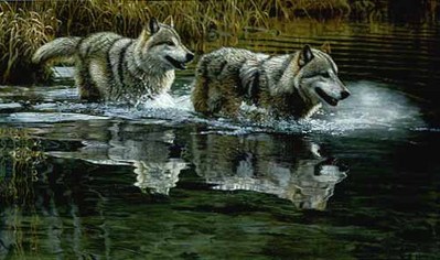 The Crossing – Wolves- Signed By The Artist								 – Paper Lithograph
								 – Limited Edition
								 – 76 A/P
								 – 
								19 3/8 x 32 1/2