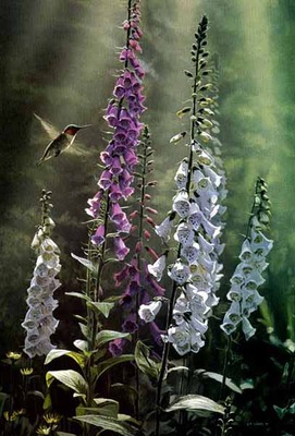 Midsummer Dream – Ruby-Throated Hummingbird- Signed By The Artist								 – Paper Lithograph
								 – Limited Edition
								 – 76 A/P
								 – 
								18 x 12 3/8