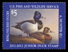 JDS 19 – 2011 Ring-necked Duck Abraham Hunter