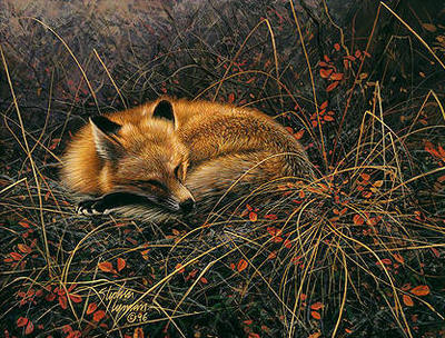 Fox Dreams- Signed By Andrea Lyman								 – Canvas Giclee
								 – Limited Edition
								 – 15 A/P
								 – 
								9 x 12								
								 –