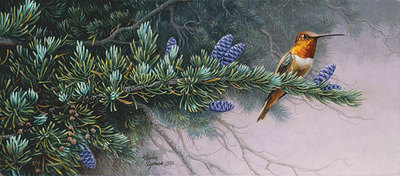 Rufous Hummingbird And Mountain Hemlock- Signed By Andrea Lyman								 – Canvas Giclee
								 – Limited Edition
								 – 100 S/N
								 – 
								5 1/4 x 12