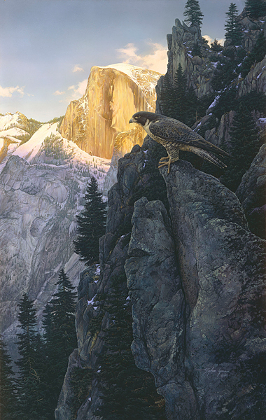 Return Of The Falcon- Canvas Giclee
								 – Limited Edition
								 – 75 Numbered
								 – 
								35 x 22