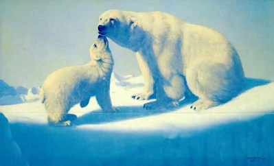 Tender Arctic- Signed By The Artist								 – Paper Lithograph
								 – Limited Edition
								 – 20 P/P
								 – 
								19 1/2 x 32 3/4