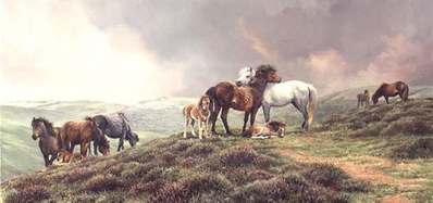 The Dartmoor Ponies- Signed By The Artist								 – Paper Lithograph
								 – Limited Edition
								 – 1000 S/N
								 – 
								16 x 29 3/4								
								 –